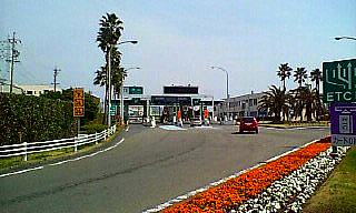 春の陽気に誘われて。