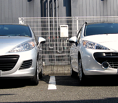 新しい展示車　仲間入り