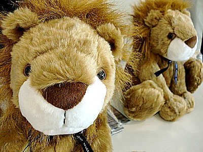 ウキウキキャンペ～ン