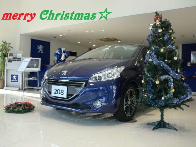 もうすぐクリスマスなので･･･♪