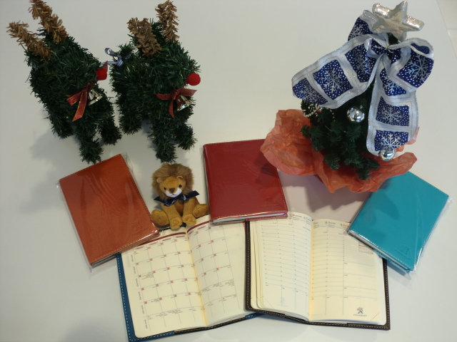 もうすぐクリスマスなので･･･♪