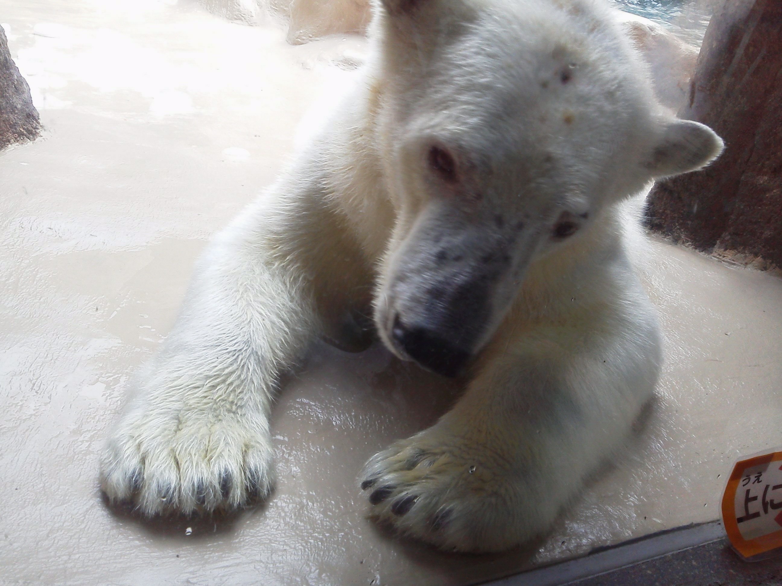 新しくなってました！