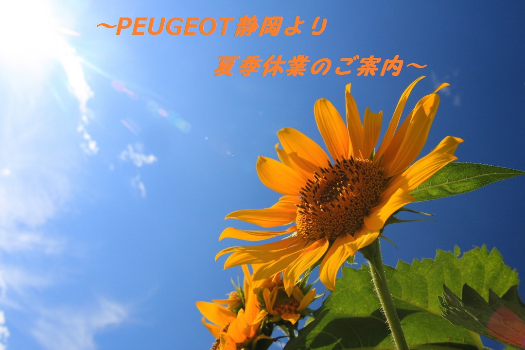 ※※夏季休業のご案内※※