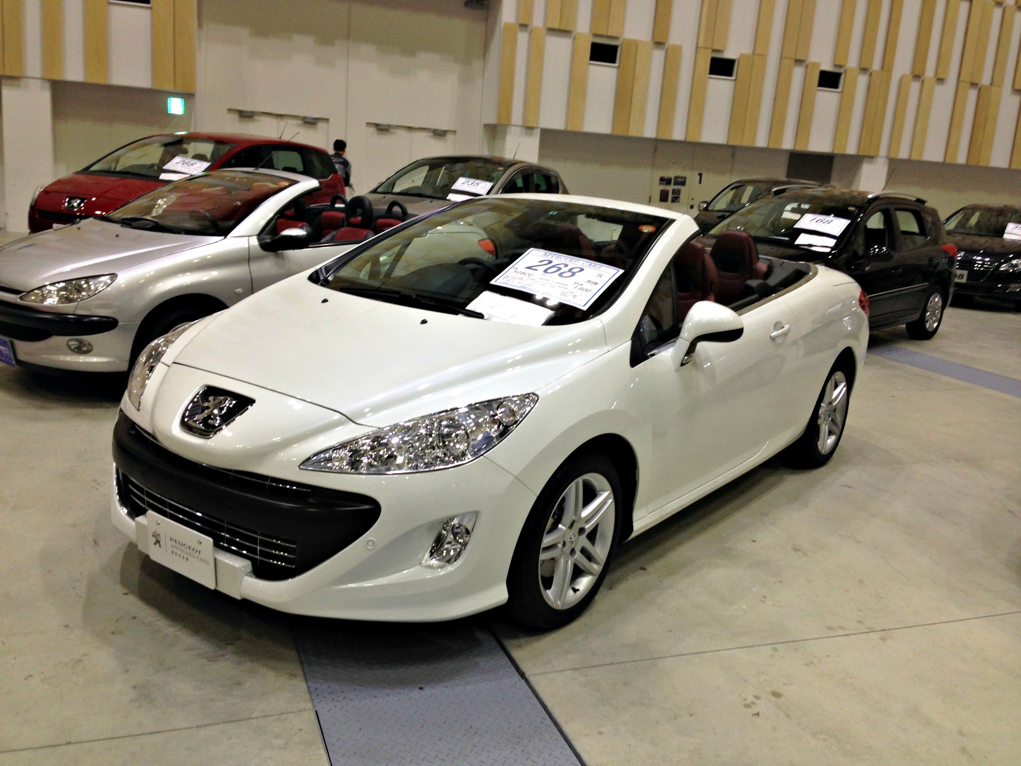 中古車大商談会開催中！！