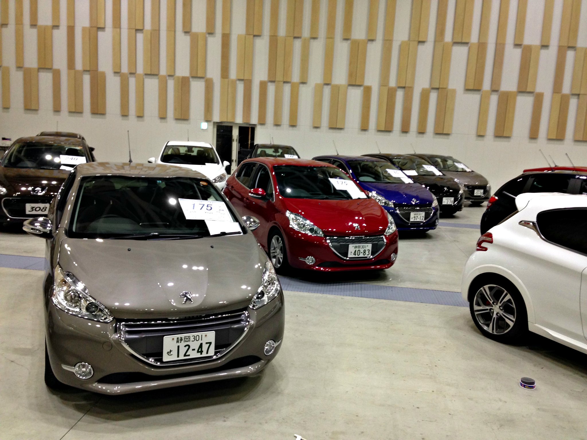 中古車大商談会開催中！！