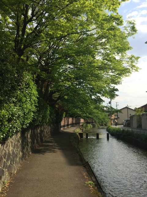 ちょっとした非日常