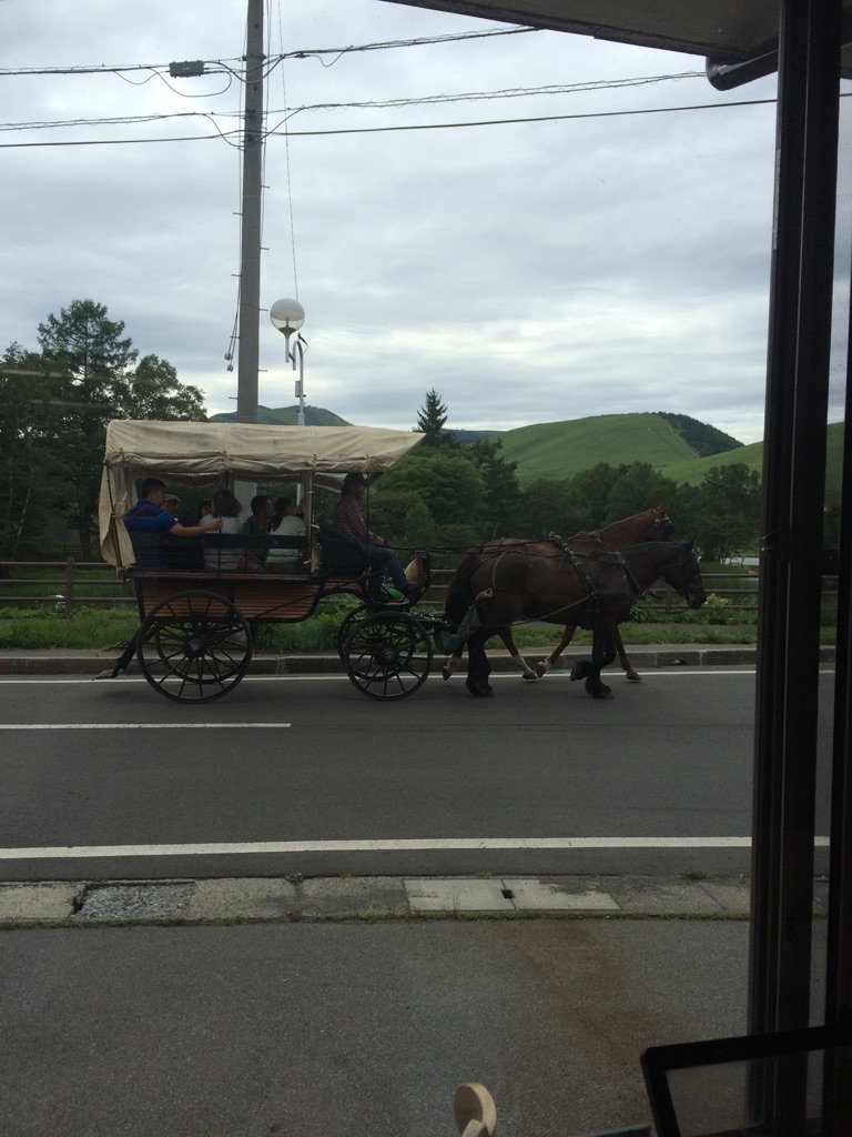 夏季休暇（＾ｕ＾）