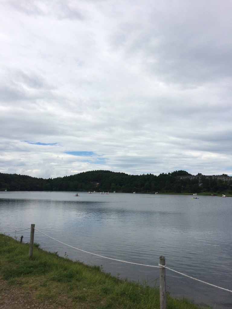 夏季休暇（＾ｕ＾）