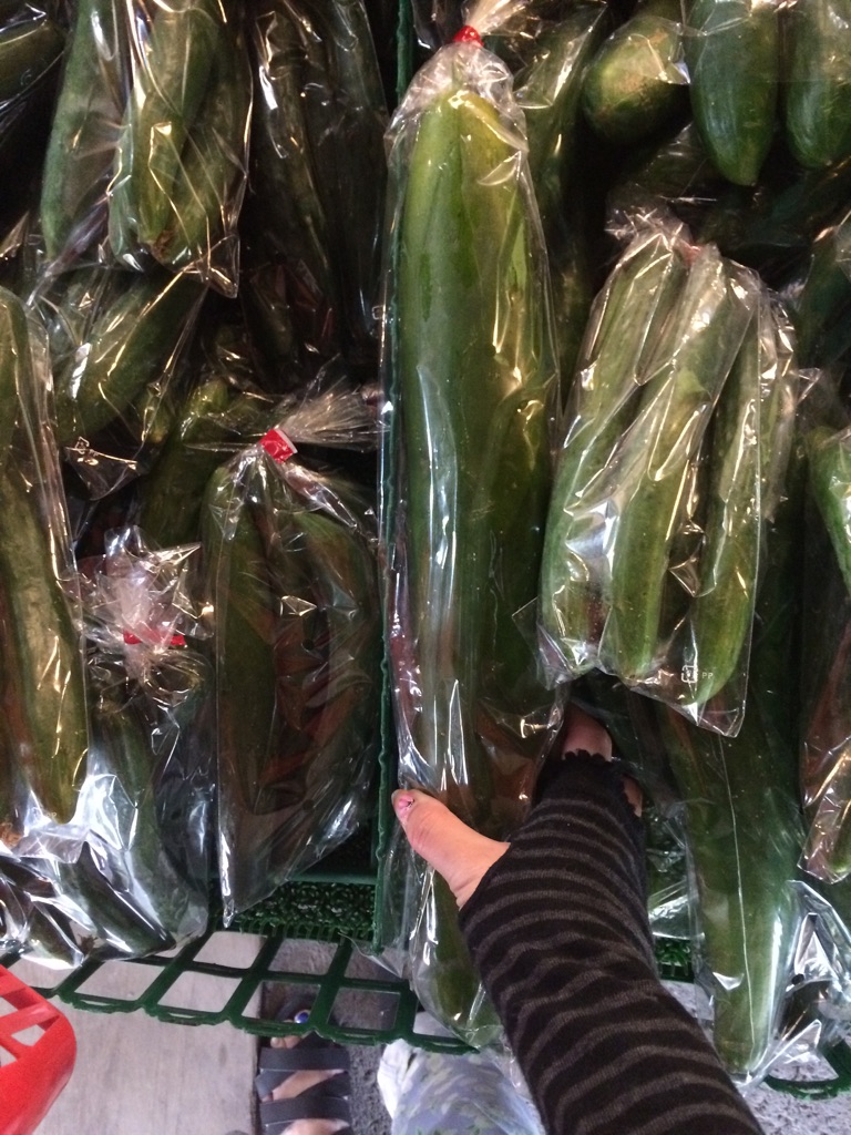 夏季休暇（＾ｕ＾）