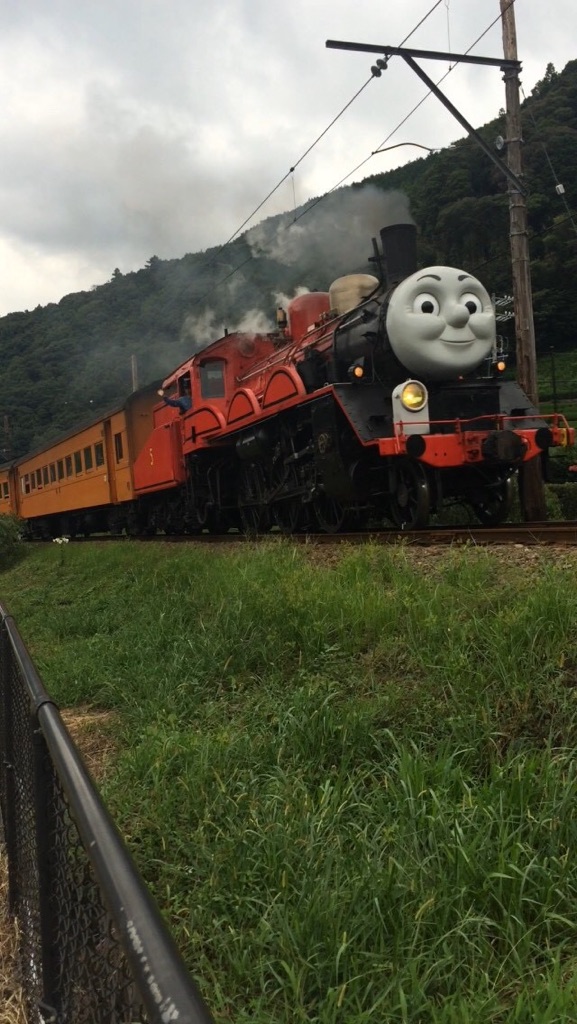 夏季休暇（＾ｕ＾）