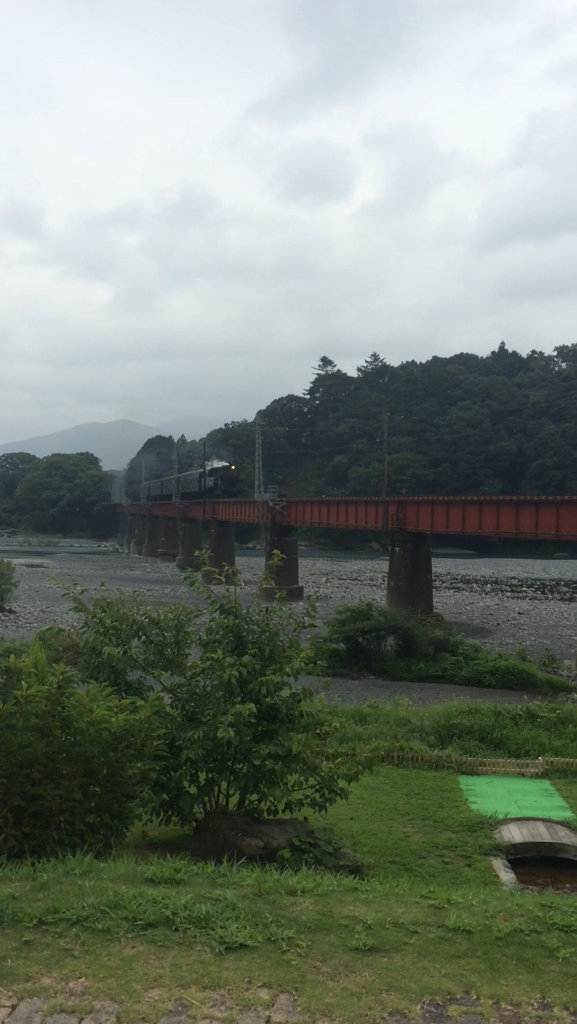 夏季休暇（＾ｕ＾）