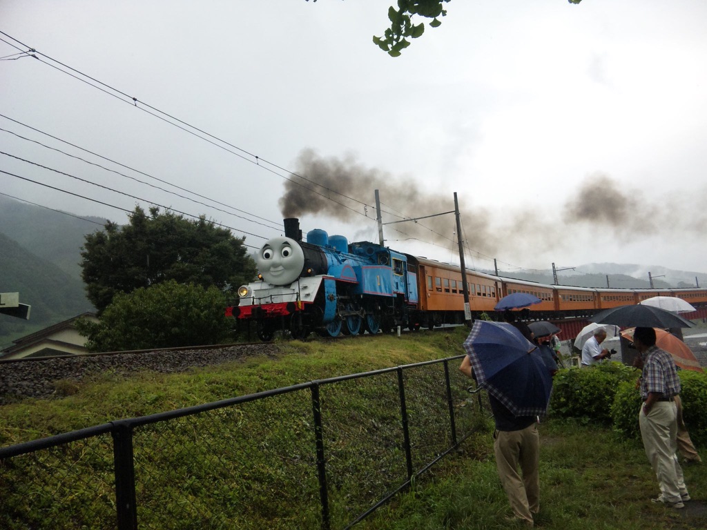 夏季休暇（＾ｕ＾）