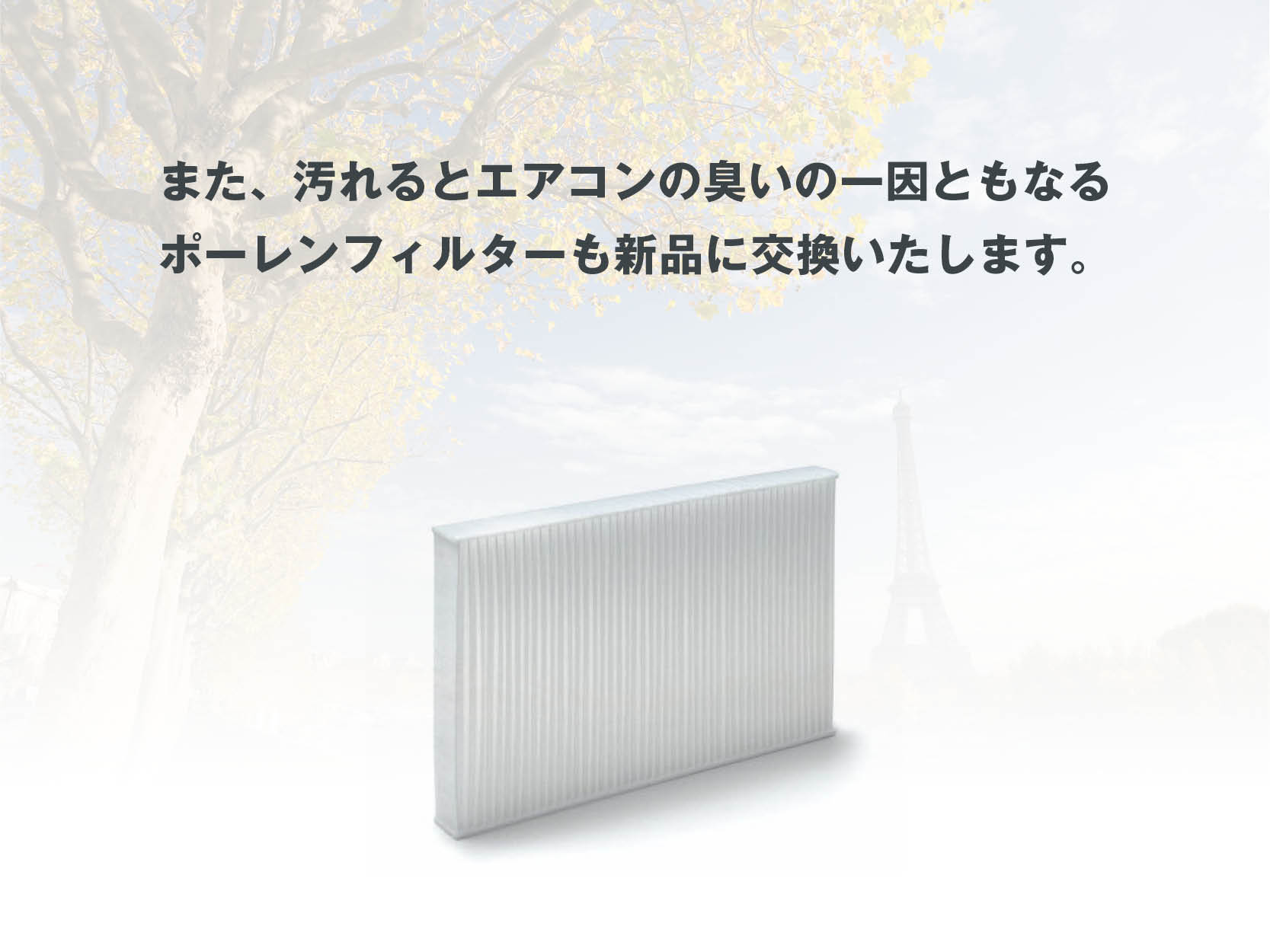 【エアフレッシュナーキャンペーン】