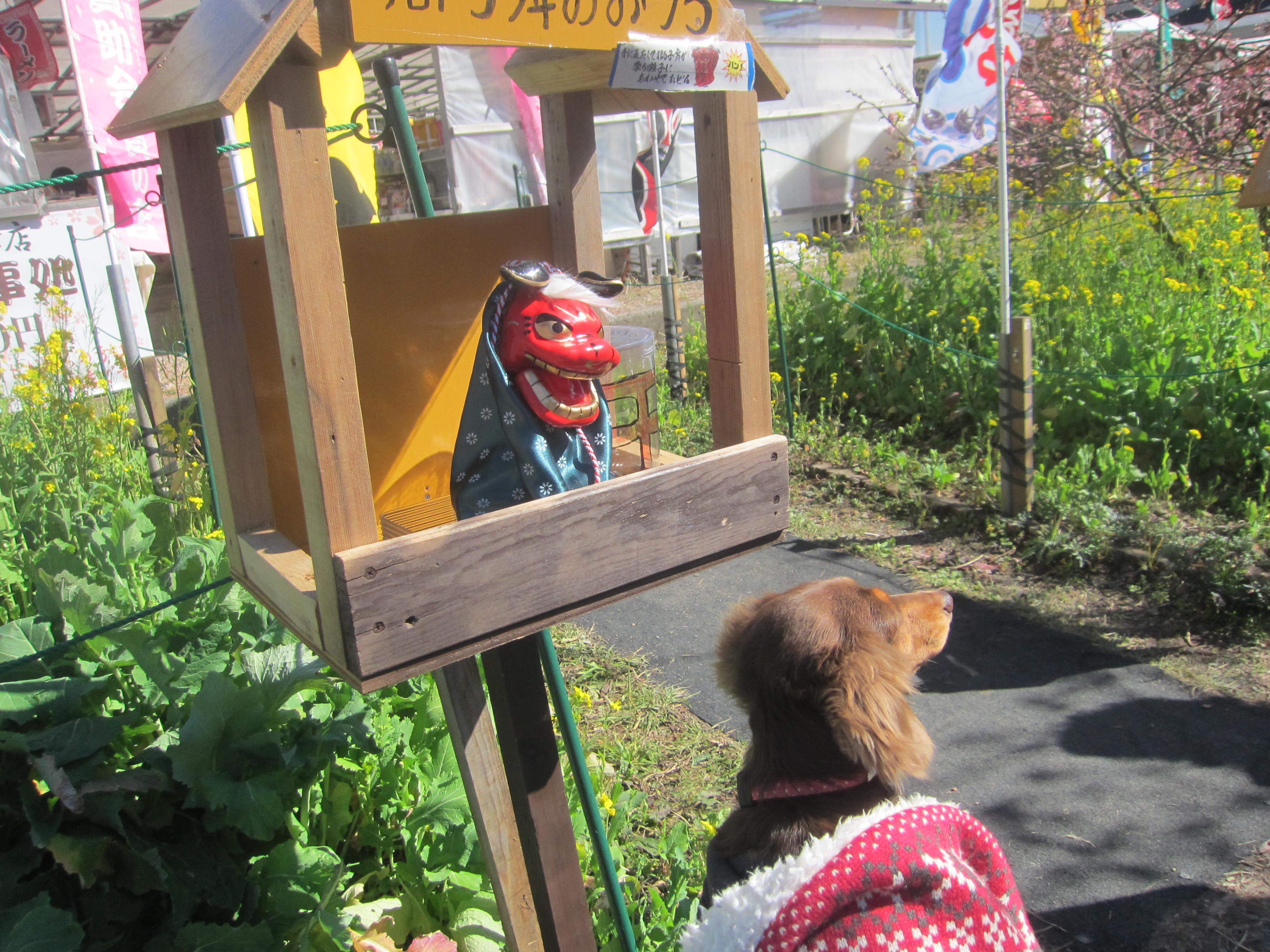 日本一早い お花見どころ・・・