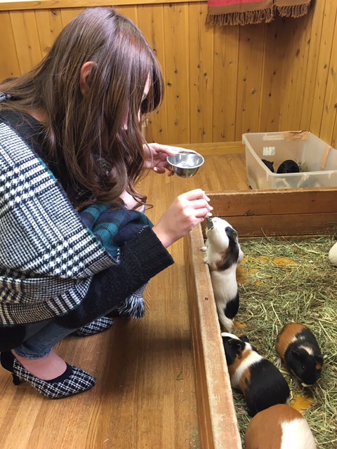 富士サファリパーク