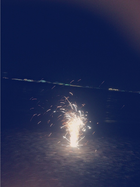 夏がやってきました！！