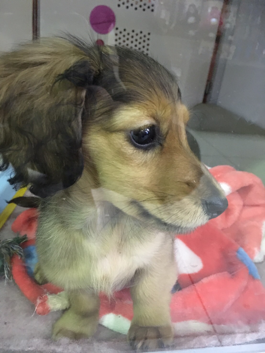 ★家族の仲間入り★