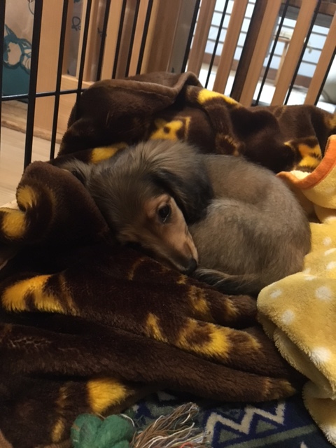 ★家族の仲間入り★