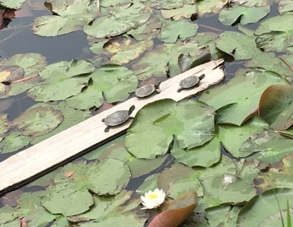 ★バス釣りに挑戦★