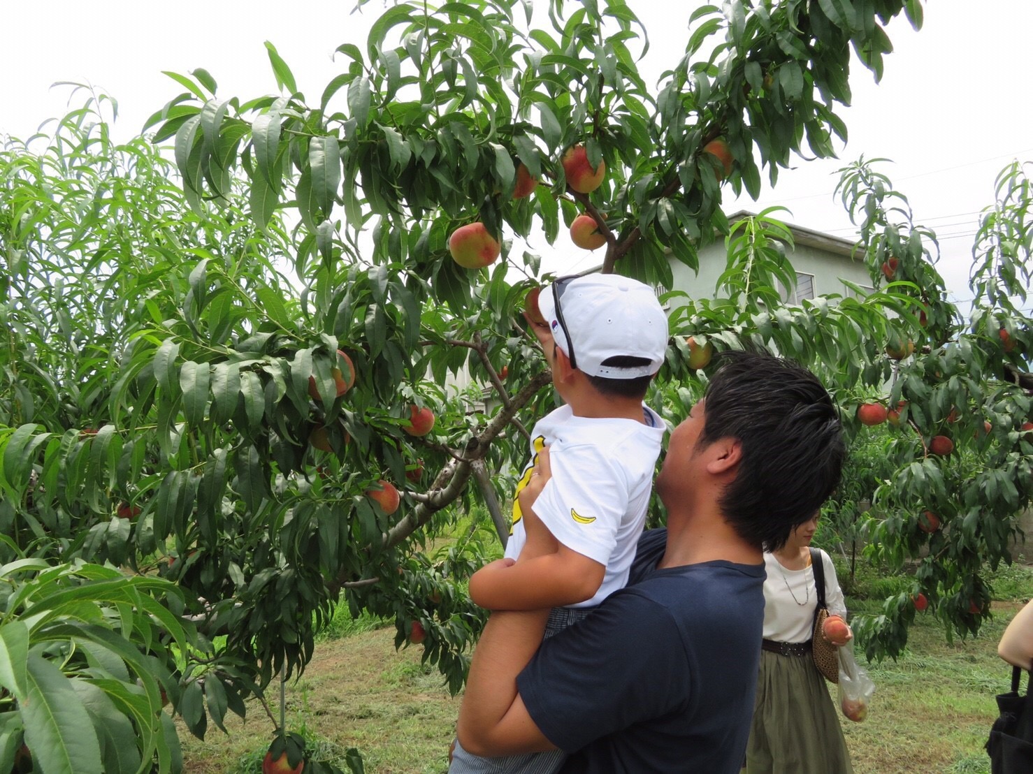 金子の休日（山梨編）