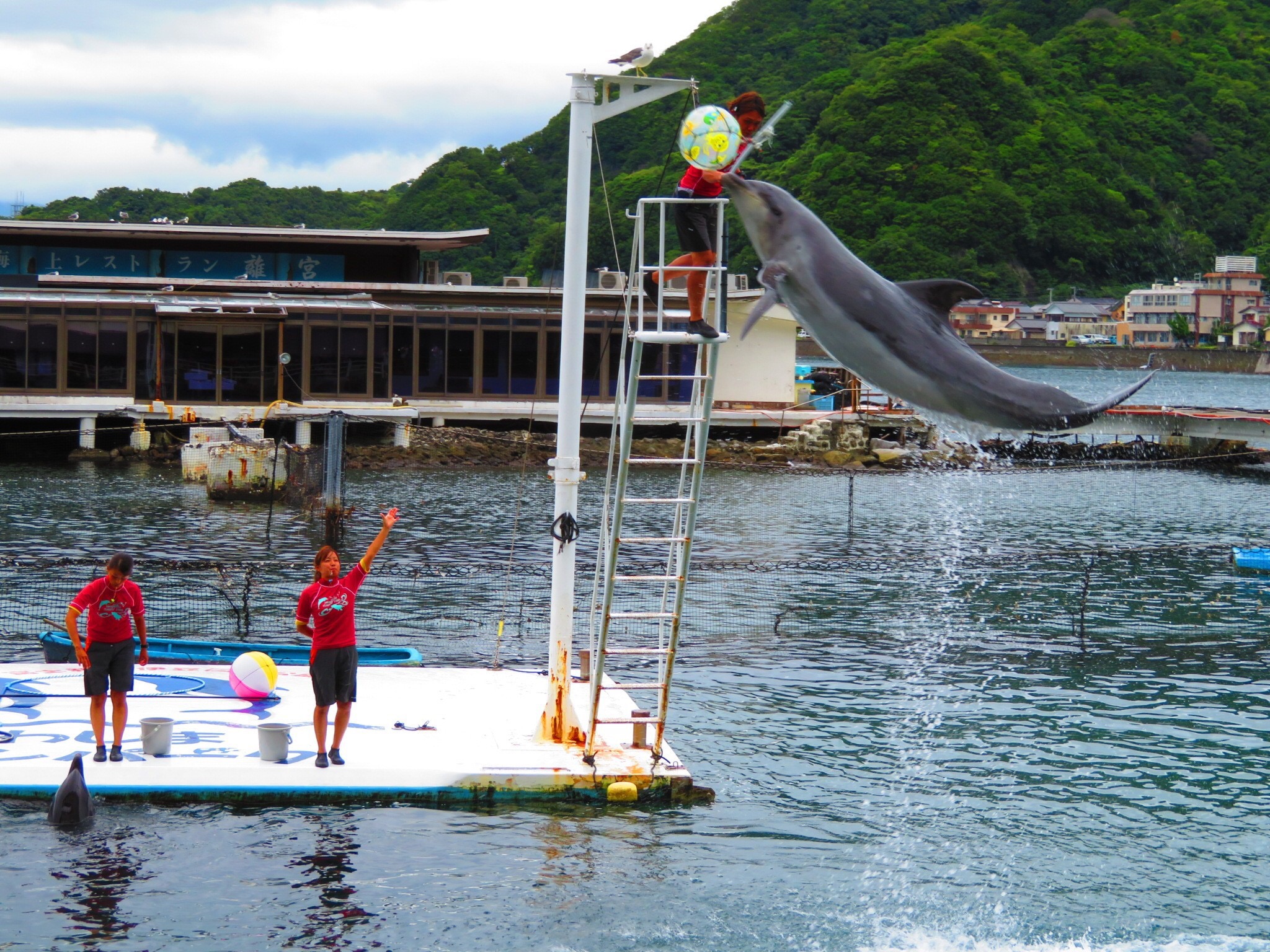金子の休日（水族館編）