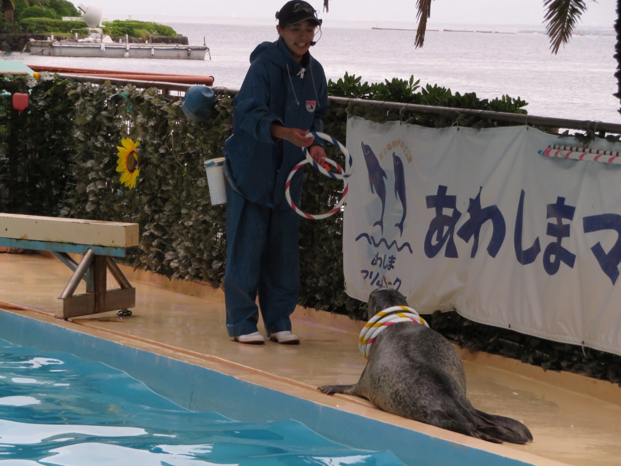 金子の休日（水族館編）