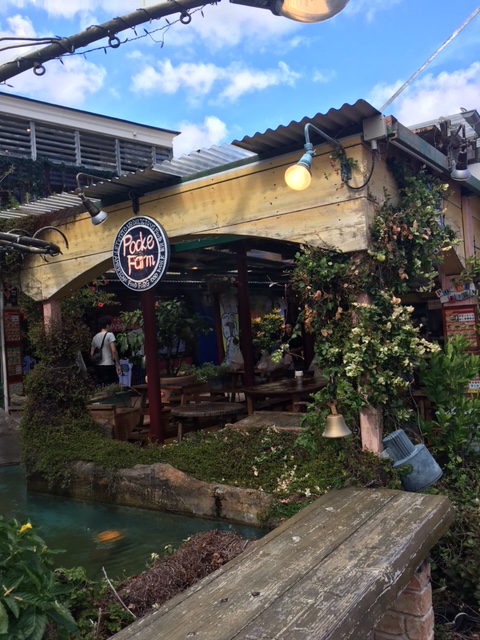 ★弾丸沖縄旅行★