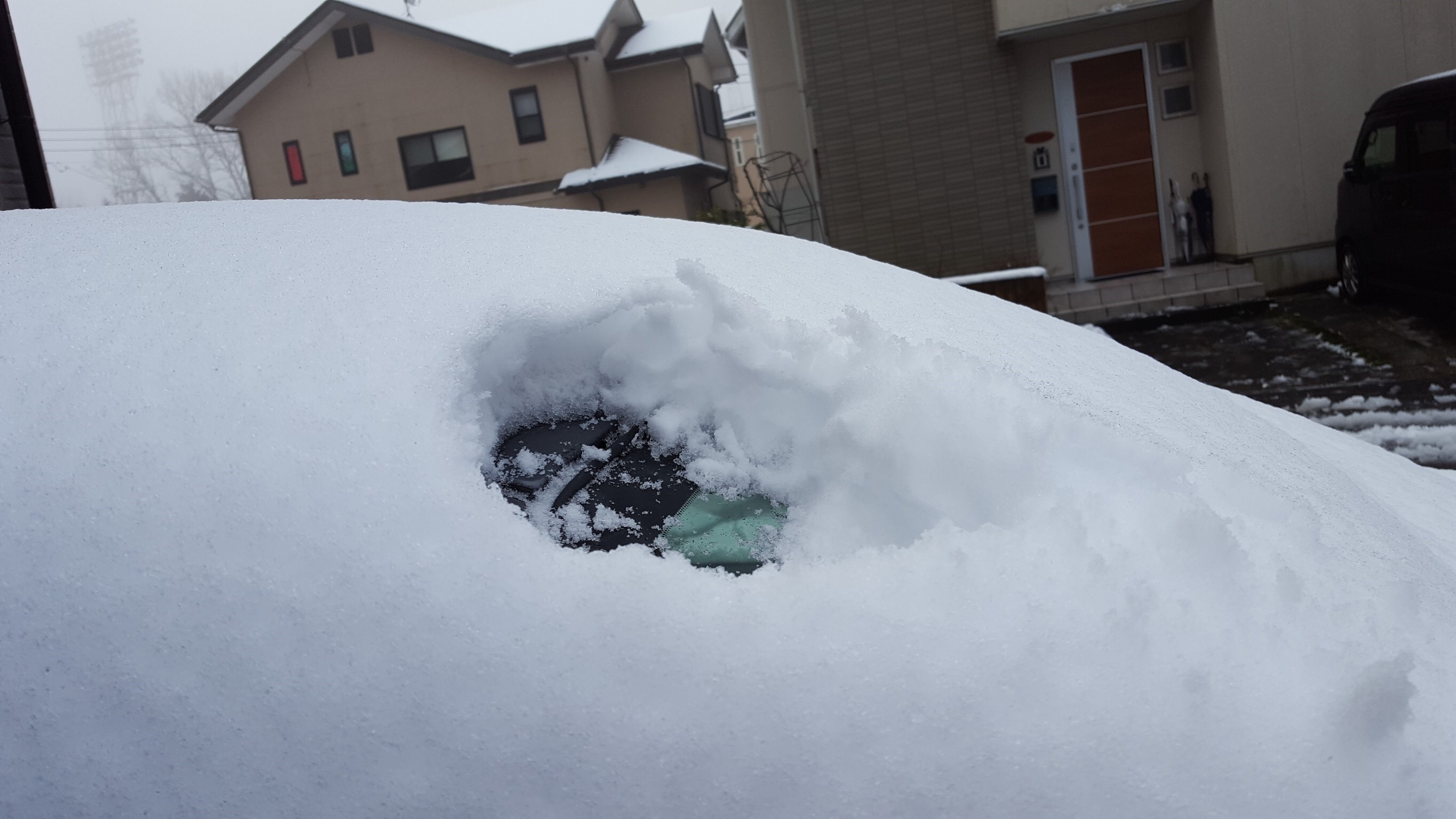 金子の休日（雪遊び編）