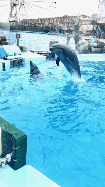 ★名古屋港水族館★
