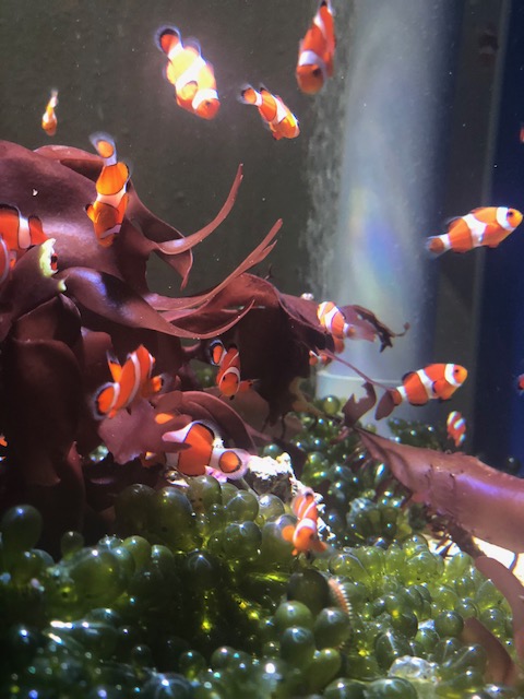 ★名古屋港水族館★