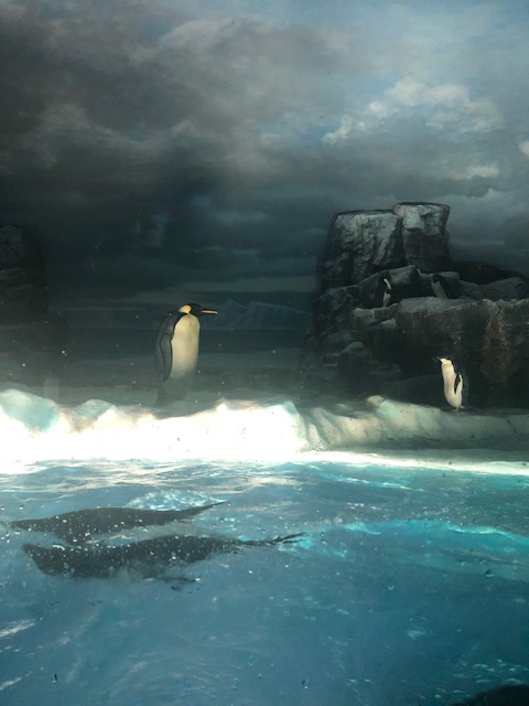 ★名古屋港水族館★