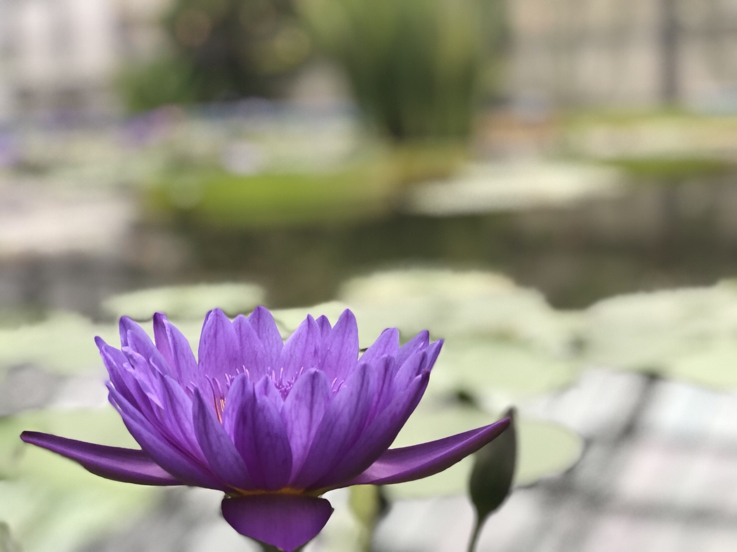 ★掛川花鳥園★