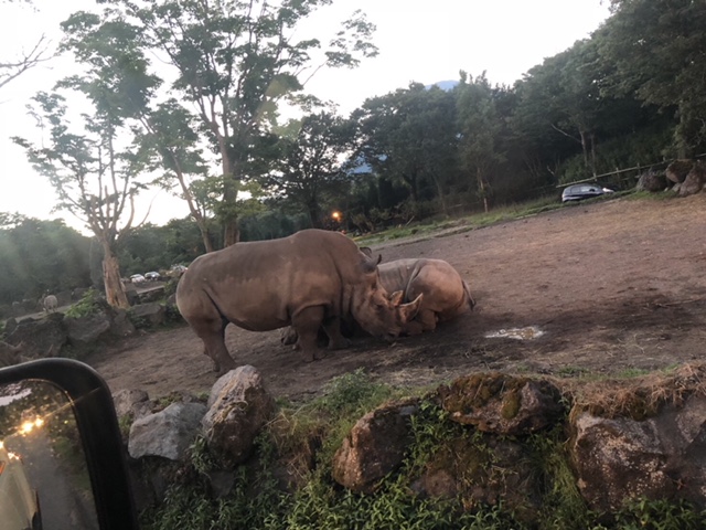 ★ナイトサファリ★