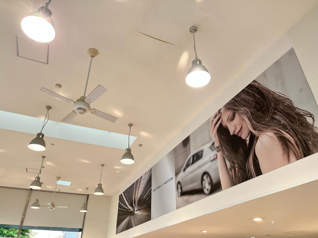 °˖✧展示車・試乗車のご案内✧˖°