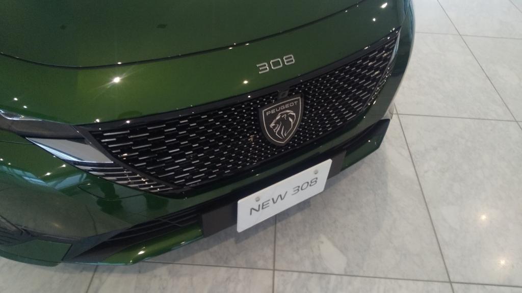 °˖✧NEW308✧˖°