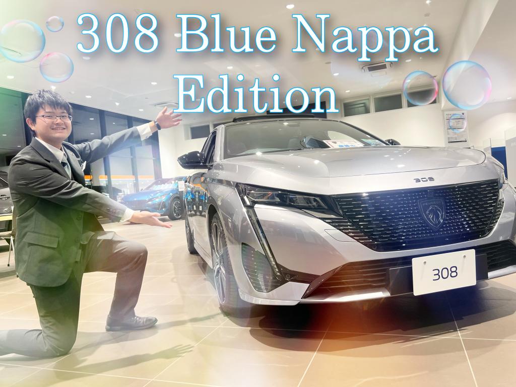 °˖✧308 GT Blue Nappa Edition✧˖°