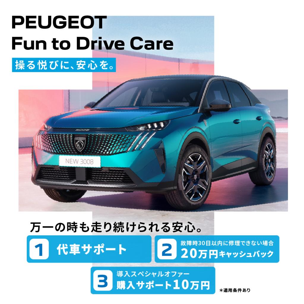 (Peugeot / Citroen) Fun to Drive Care
