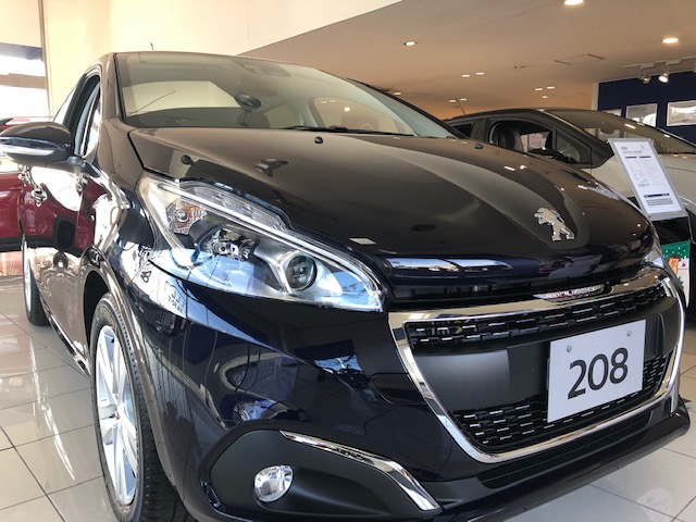 ☆208 SIGNATURE　あります☆