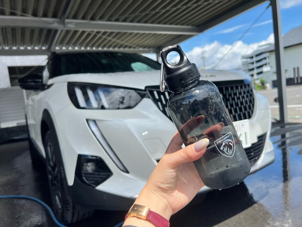 °˖✧SUMMER ALLURE FAIR✧˖°