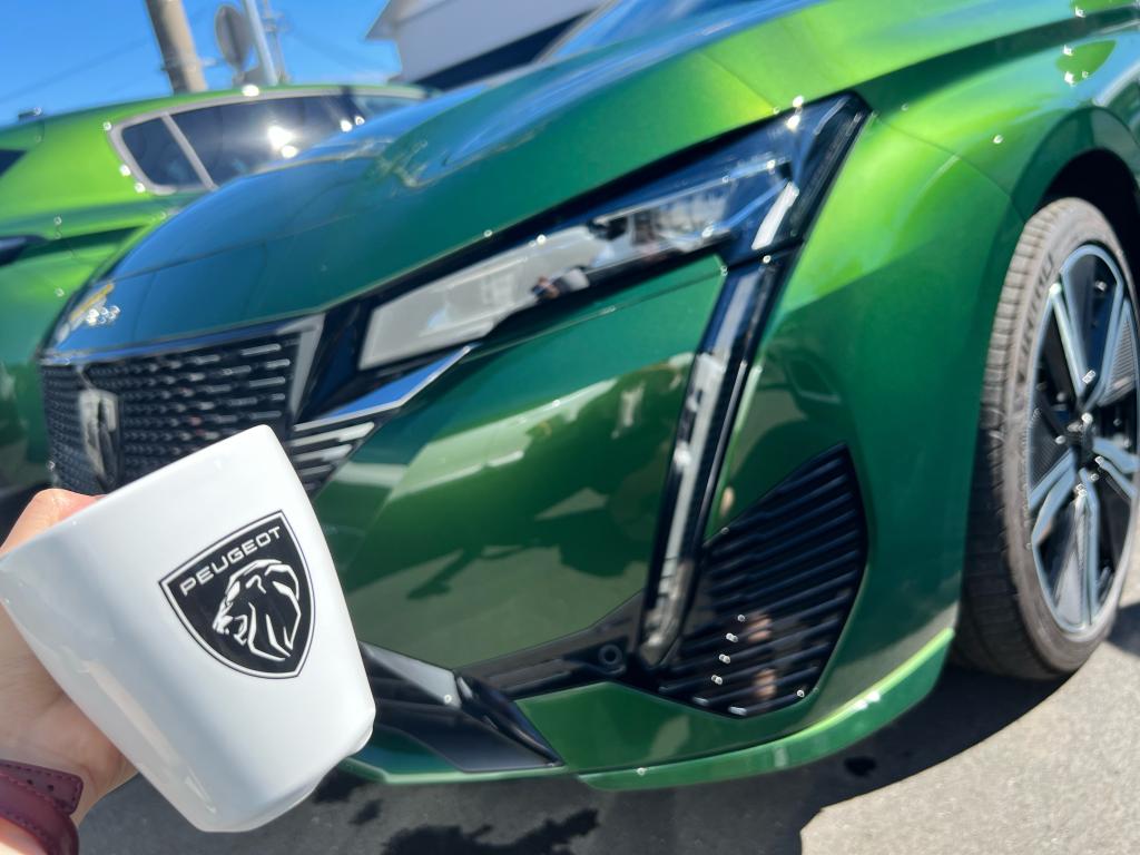 °˖✧NEW308 アンコールフェア✧˖°