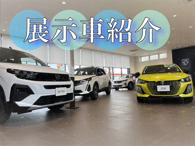 °˖✧展示車紹介✧˖°