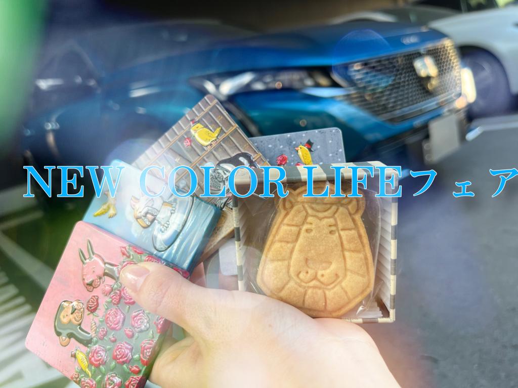 °˖✧NEW COLOR LIFEフェア✧˖°