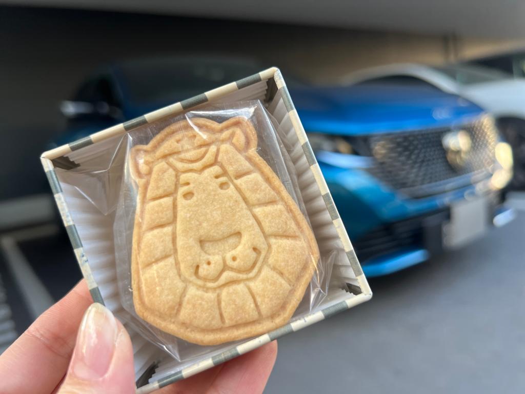 °˖✧NEW COLOR LIFEフェア✧˖°