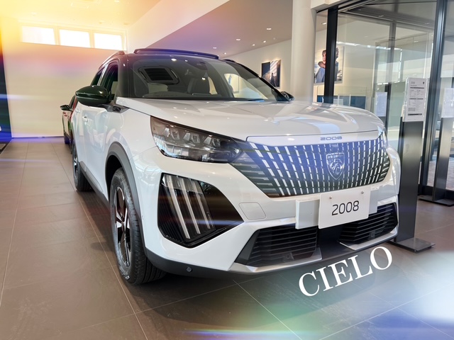 °˖✧2008 Cielo✧˖°