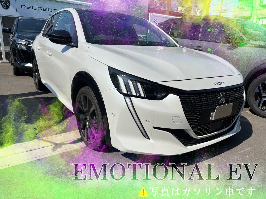 °˖✧EMOTIONAL EV✧˖°