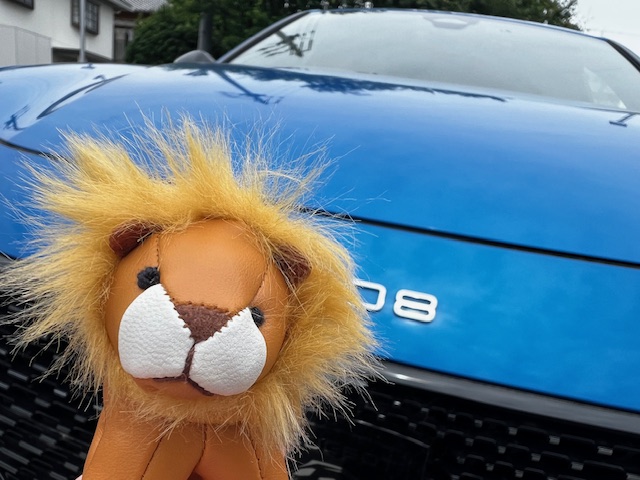 第二弾！　PEUGEOT PETIT LION LIFE　5/24(土)≫25(日)