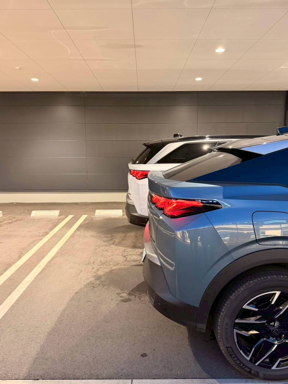 NEW5008　デビューフェア開催！