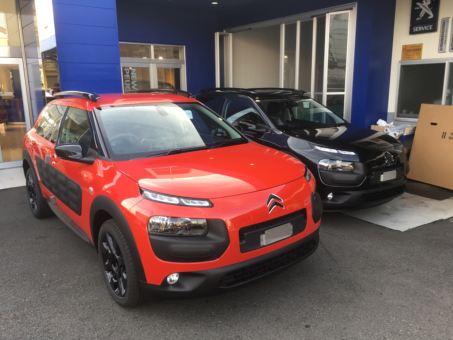 噂の車シトロエンＣ４CACTUS