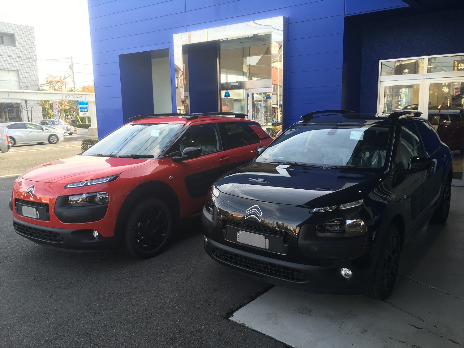 噂の車シトロエンＣ４CACTUS