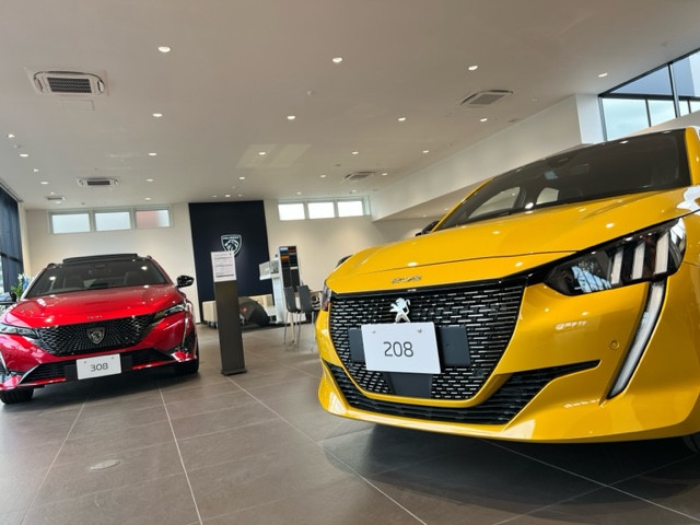 °˖✧新店舗のご案内✧˖°